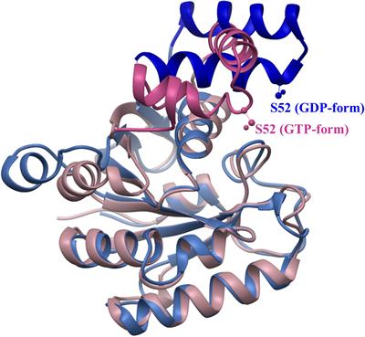 Targeting Eukaryotic mRNA Translation by Legionella pneumophila